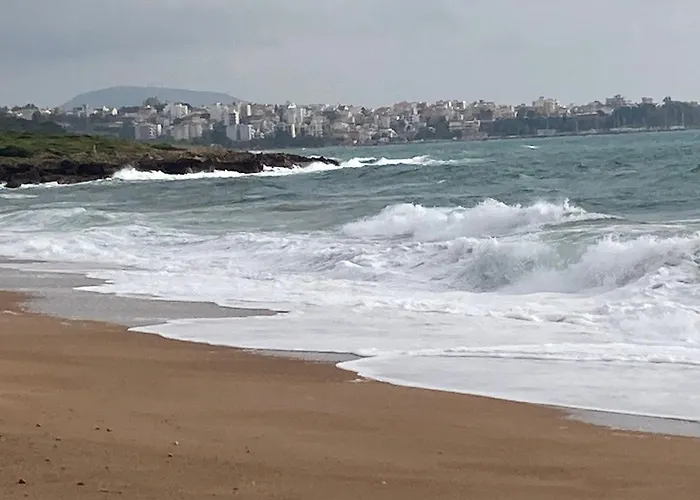 Gecko Сasa de vacaciones Stasion